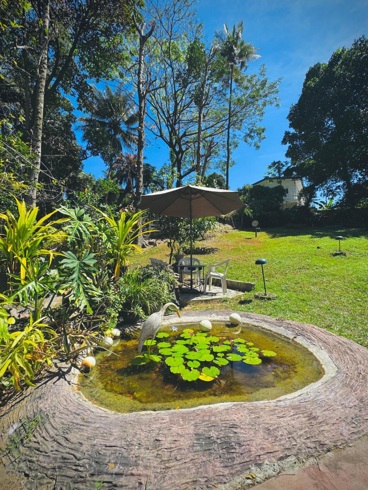 Mahaweli View Bungalow Kandy Zewnętrze zdjęcie