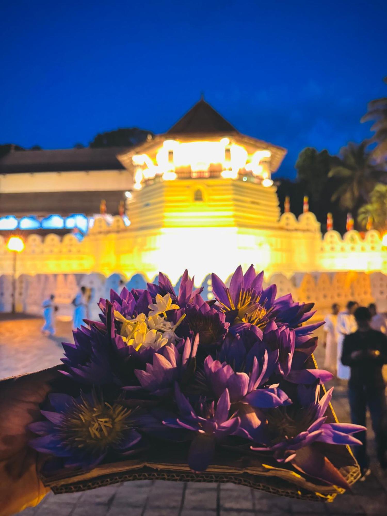 Mahaweli View Bungalow Kandy Zewnętrze zdjęcie